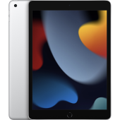 Apple iPad 2021 256 Gb Серебристый WiFi