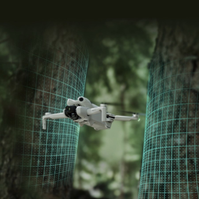 Квадрокоптер DJI Mini 4 Pro Fly More Combo Plus (DJI RC 2) (Квадрокоптер DJI Mini 4 Pro (DJI RC 2))