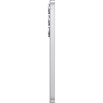 Samsung S25 Ultra 12/256 Gb Серебряный Титан (Samsung S25 Ultra 12/256 Gb Серебряный Титан)