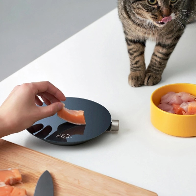 Умные кухонные весы HOTO (Умные кухонные весы Xiaomi Темно-Серый)