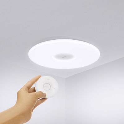Пульт для потолочного светильника Philips (Пульт Xiaomi Белый)