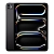 Apple iPad Pro 11" 2024 512 Gb Черный космос LTE (без RuStore)