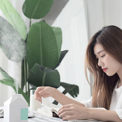 Увлажнитель воздуха настольный Bcase MilkBox, Белый (Портативный увлажнитель воздуха Xiaomi Белый)