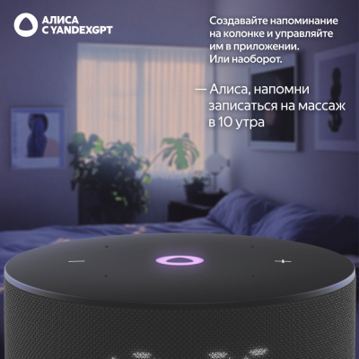 Умная колонка Яндекс станция Мини 3 (с часами) Черный (Умная колонка Яндекс станция Мини 3 (с часами) Черный)